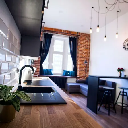 Apartament Loft Industrial Ec1 *