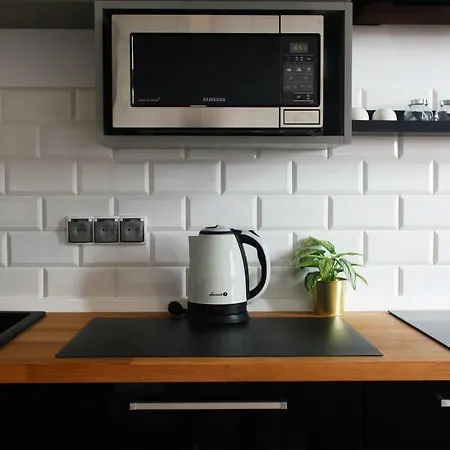 Apartament Loft Industrial Ec1