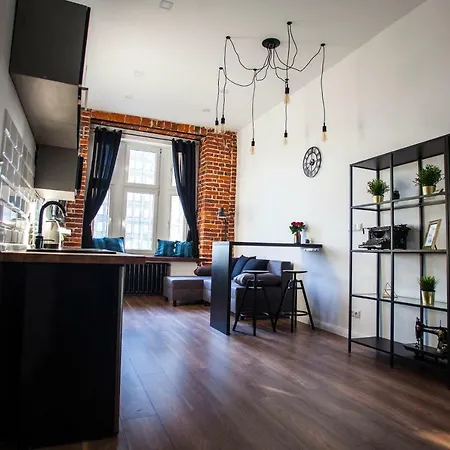 Apartament Loft Industrial Ec1